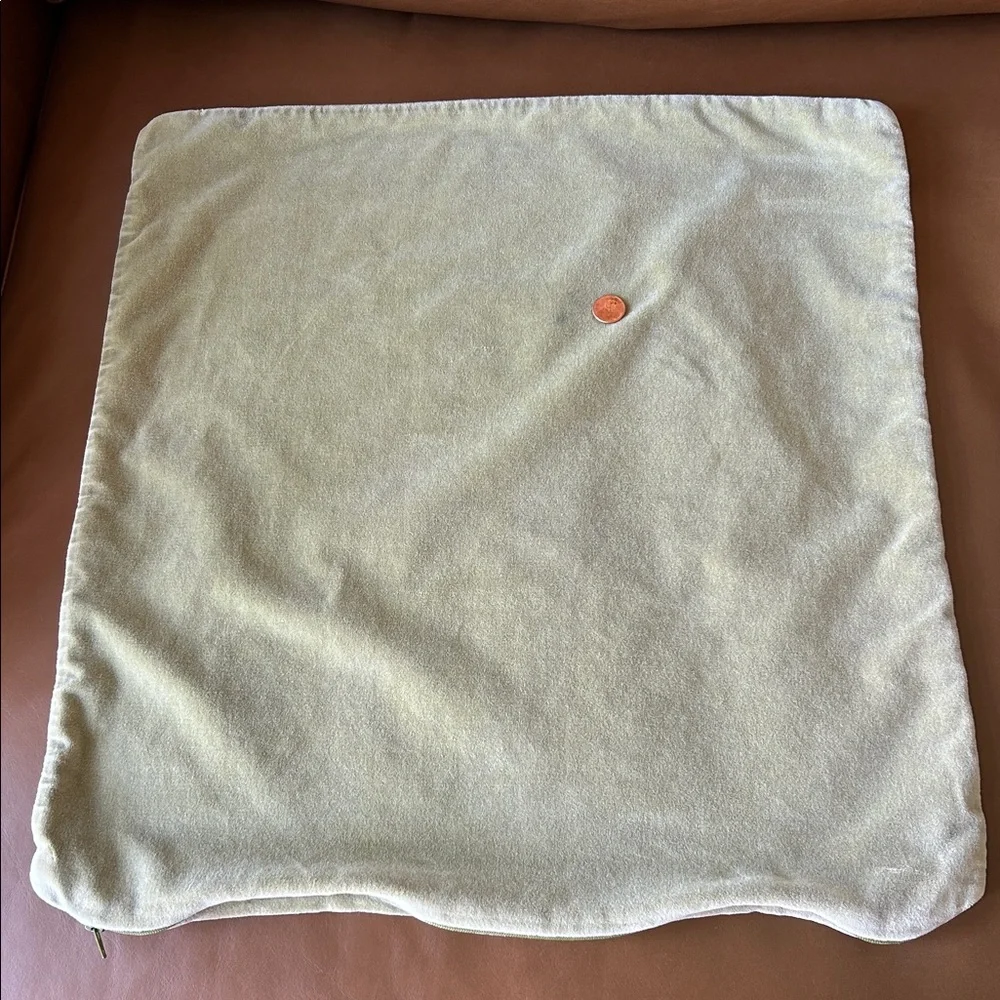 Crate & Barrel Pillow Cover 20”